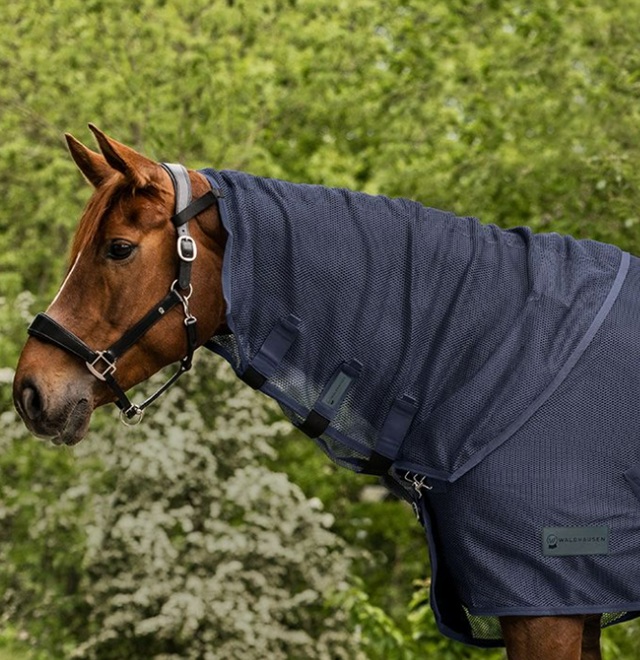 COPRI COLLO RETE Accessori Coperte 